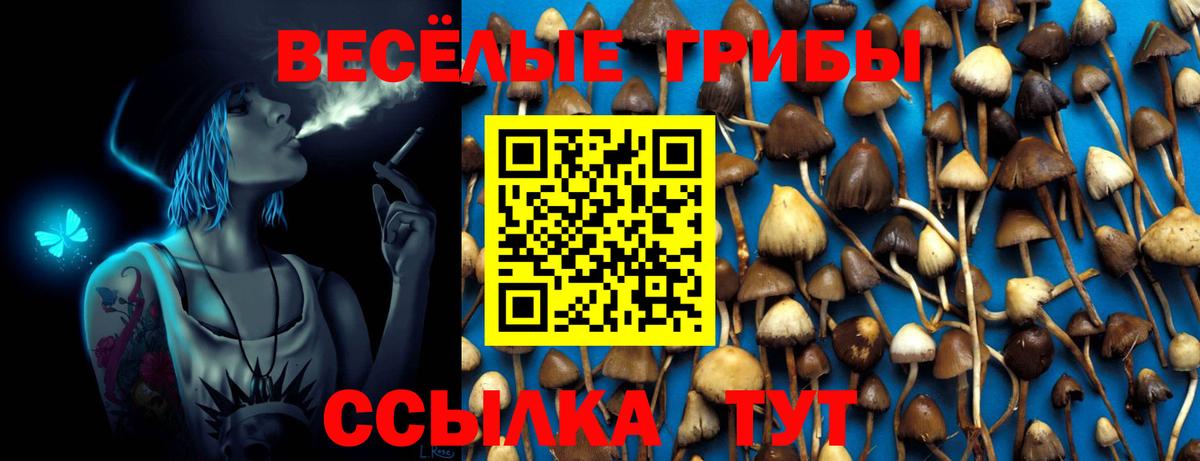 ТГК Самара