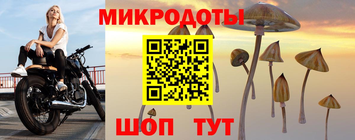 Галлюциногенные грибы Psilocybine cubensis  Вход с VPN  Самара 